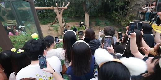 사진으로 돌아보는 6월 마지막주 포토뉴스 (6월 26~30일)