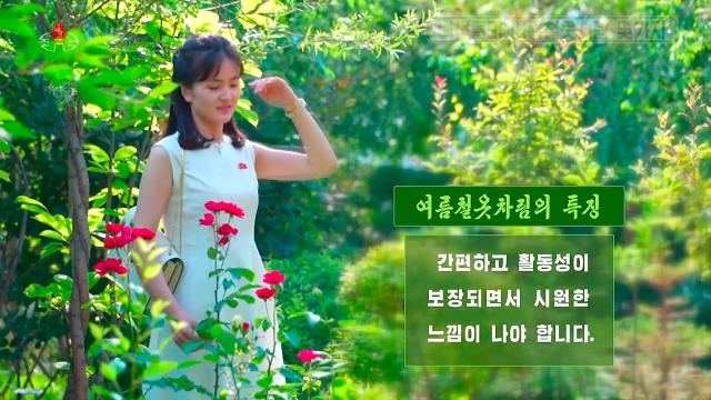 북한 조선중앙TV는 지난달 23일 소개편집물에서 최근 여성들이 소매가 없는 달린옷민소매 원피스을 많이 찾고 있다고 보도했다 사진연합뉴스