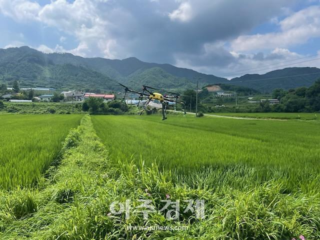 사진장수군