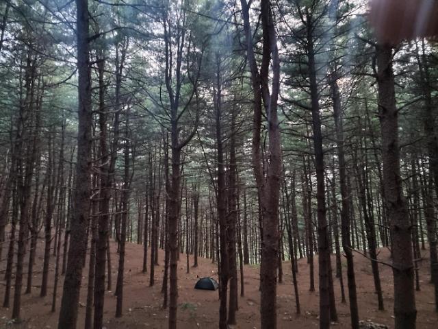 사진이승재