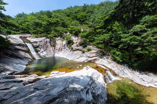 [기획] 밀양의 싱그러움과 낭만이 머무는 여름… 최고의 밀양 여름 휴가지 5선 추천