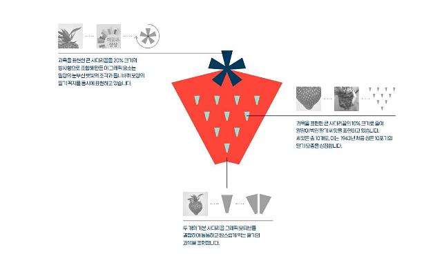 밀양딸기 BI 심벌 의미사진밀양시