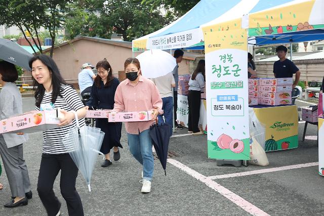 청도군이  ‘청도 복숭아’ 를  자매도시인 대구 중구의 협조를 얻어 직거래 장터에서 소비자들에게 직접 맛을 선 보여 큰 호응을 얻었다사진청도군