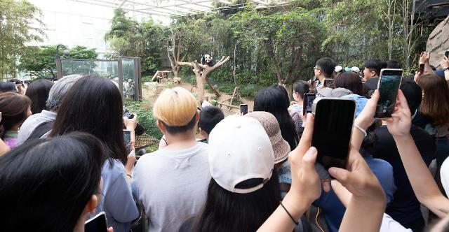 Rất nhiều khách tham quan đang ngắm và chụp ảnh Fu Bao tại Panda World ở công viên Everland Yongin vào ngày 3062023 Ảnhdbeorlf123ajunewscom