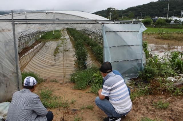 지난달 28일 오전 광주 북구 망월동에서 농민들이 밤새 내린 폭우로 물에 잠긴 비닐하우스를 바라보고 있다 사진연합뉴스
