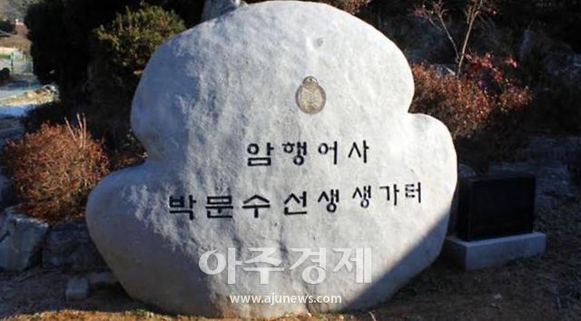 사진   