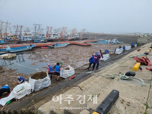 기록적 폭우로 금강 상류 쓰레기 몸살 앓아마량진항 해양쓰레기 정화 활동2