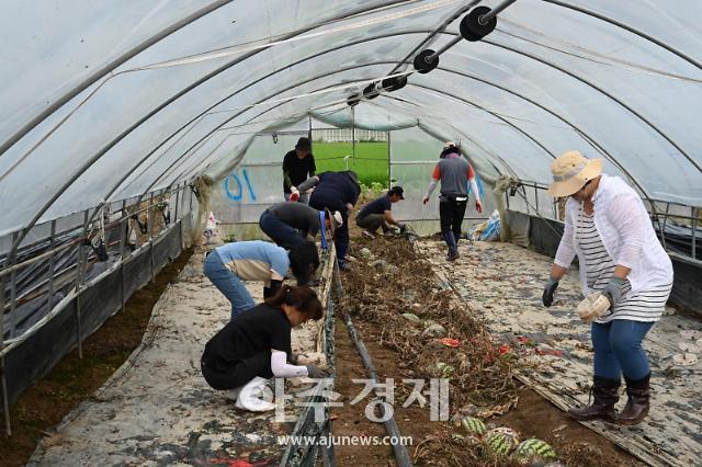 수해복구 현장 장암면 합곡리 656-3사진부여군