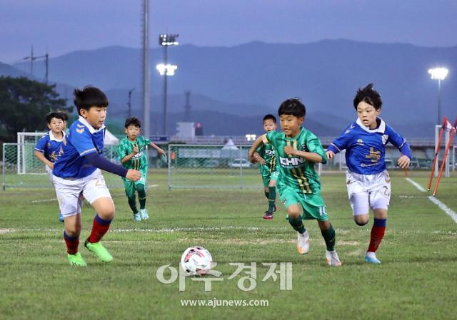 지난해 열린 화랑대기 전국 유소년축구대회 모습 사진경주시