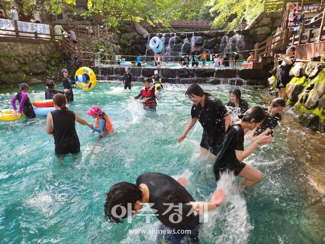  보성군 제암산자연휴양림을 찾은 관광객들이 물놀이를 하며 무더위를 식히고 있다 사진보성군