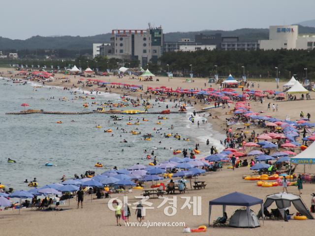 낙산해수욕장 전경사진양양군