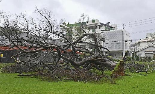 台风“卡努”或“横扫”韩半岛 釜山蔚山庆南地区9日起迎强风暴雨
