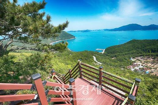 그리워지는 시원한 숲길, 전남엔 어디가 좋을까