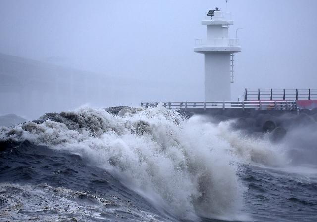 Sóng lớn dữ dội tại Busan sáng ngày 10 khi cơn bão Khanun  đổ bộ vào bờ biển phía nam Hàn Quốc ẢnhYonhap News