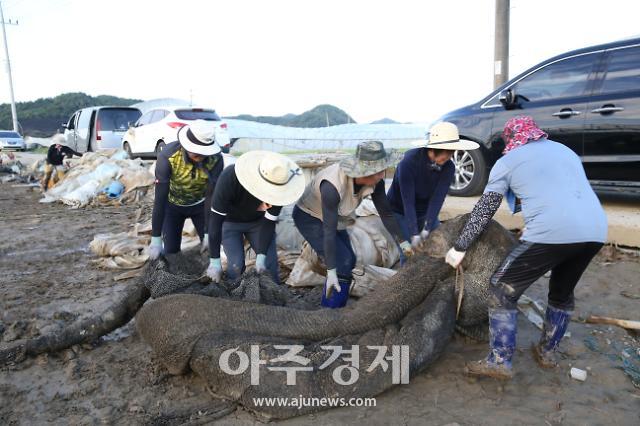 수해복구 장면사진청양군의회