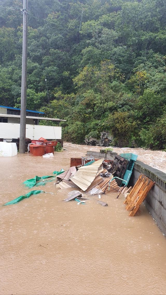 영천시 고경면 공장옆 하천이 범람해 5명이 고립 됐다가 영천소방서 구조대에 의해 구조 됐다사진경북 소방본부