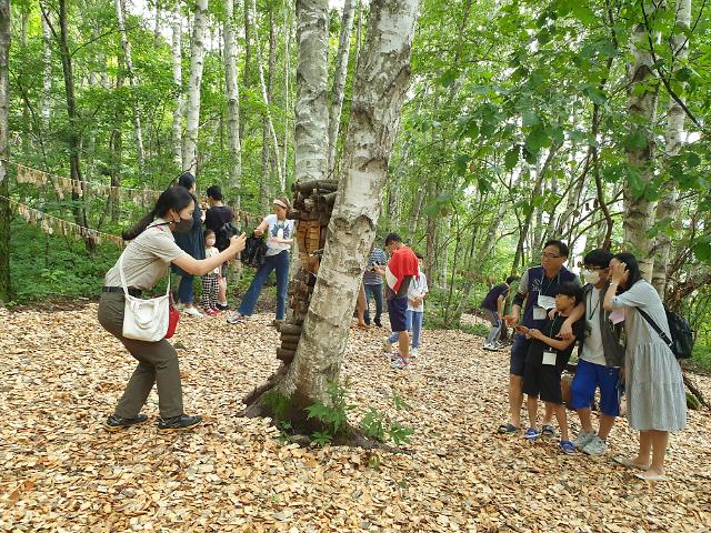 강원 인제 국립공원공단 설악산탐방원 행사에 참가한 시민들이 숲 체험을 하고 있다 사진국립공원공단