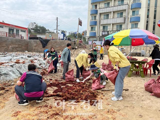 17일 오전 10시부터 동해시 관내 전 지역을 대상으로 40여개 기관 및 기업체 사회단체 500여 명이 참여한 가운데 국토대청결운동을 추진하고 있다사진동해시