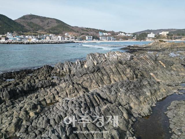 포항 오도리 주상절리 전경 사진포항시