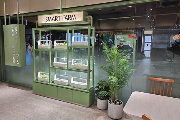 ​Pulmuone builds miniature smart farm at vegan restaurant in Seoul