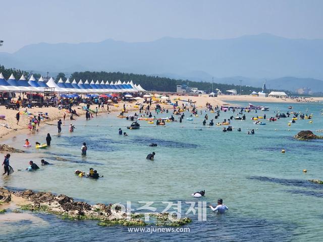 영덕군 대진해수욕장에서 피서를 즐기고 있는 피서객들 모습 사진영덕군