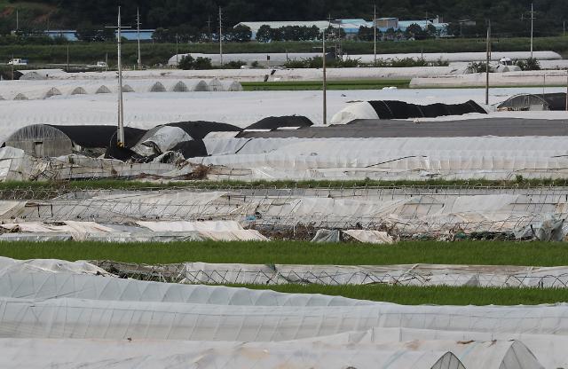 지난달 25일 오후 충남 청양군 한 비닐하우스가 폭우 피해로 무너져 있다 사진연합뉴스
