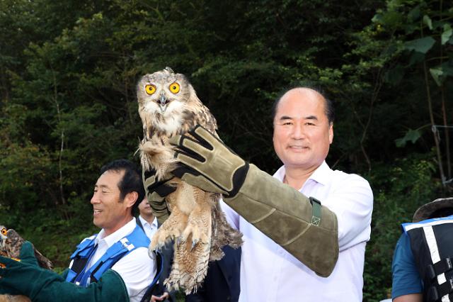 강영석 상주시장우이 수리부엉이를 방사하고 있다