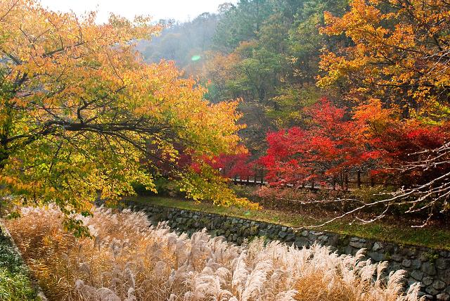 성주산사진보령시