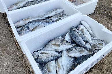 [NNA] 홍콩, 日 수산물 금수 위반 땐 벌금 10만 HK달러 부과
