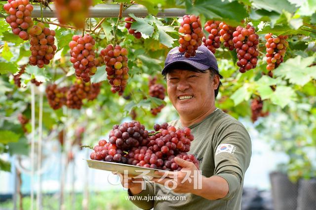 홍주씨들리스’ 백화점 출하사진홍성군