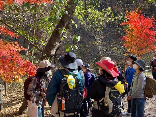 서울 도봉구 북한산국립공원에서 시민들이 국립공원공단의 가을 길 걷기 체험을 하고 있다 사진국립공원공단
