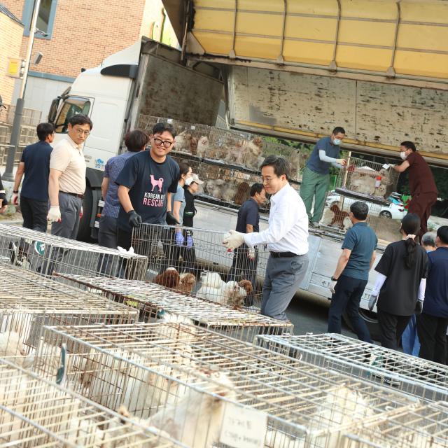 김동연 지사가 구조된 반려동물을 옮기고 있다사진김동연 지사 페북 캡처