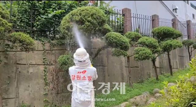 관계자가 벌 쏘임 사고를 방지하기위해 사전 조치를 하고 있다사진동해소방서