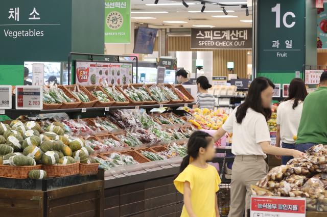 서울의 한 대형마트에서 장을 보는 시민들 사진연합뉴스