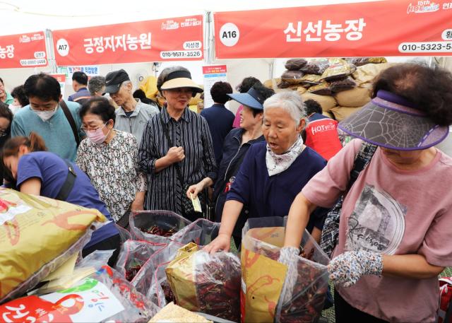 2023 영양고추 HOT Festival 행사 장면 사진영양군