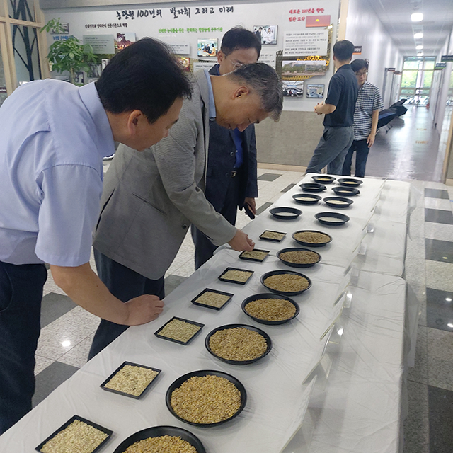 국립농산물품질관리원 검사업무 담당자들이 지난 21일 농관원 대강당에서 열린 업무 설명회에서 가루쌀을 살펴보고 있다사진국립농산물품질관리원