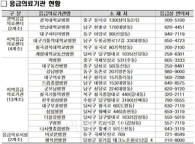 대구시와 구·군 보건소에 의료·방역 상황반을 운영하고 지역 의료기관 및 약국 등과 협력해 비상진료체계를 구축한다 사진대구시