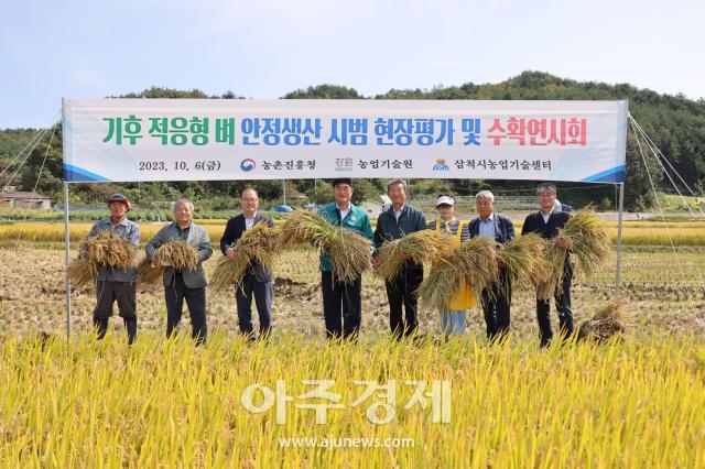 박상수 시장중앙과 관계자들이 기후 적응형 벼 안정생산 재배단지 수확 연시회를 진행하고 있다사진삼척시