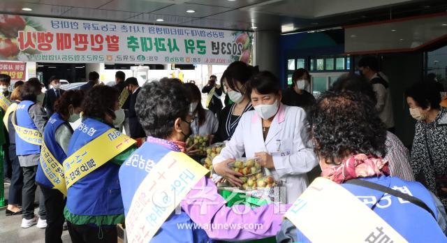 대구파티마병원은 6일 팔공농협과 함께 군위 사과대추 행사를 진행하였다 사진대구파티마병원