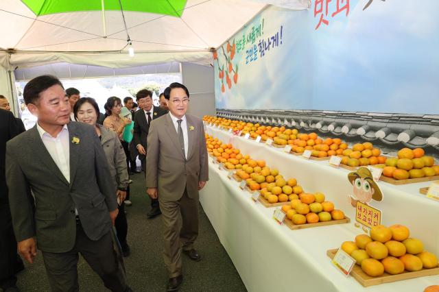 김하수 청도군수와 내빈들이 반시축제에 출품된 반시를 둘러보고 있다사진청도군