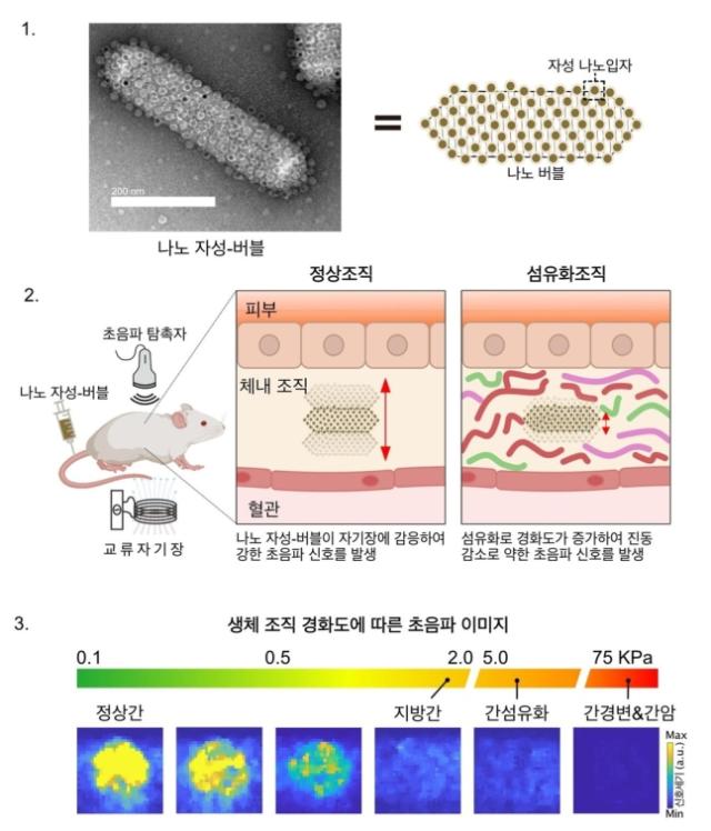 나노 자성-버블MGV 사진기초과학연구원