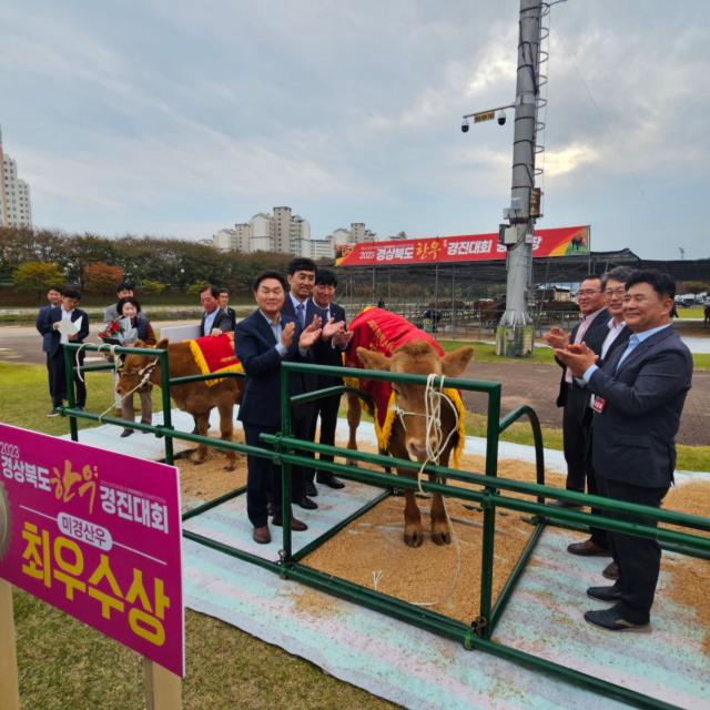 경북한우경진대회 미경산우 부문 청도군 금천면 박천석 농가 ‘최우수상’수상사진청도군