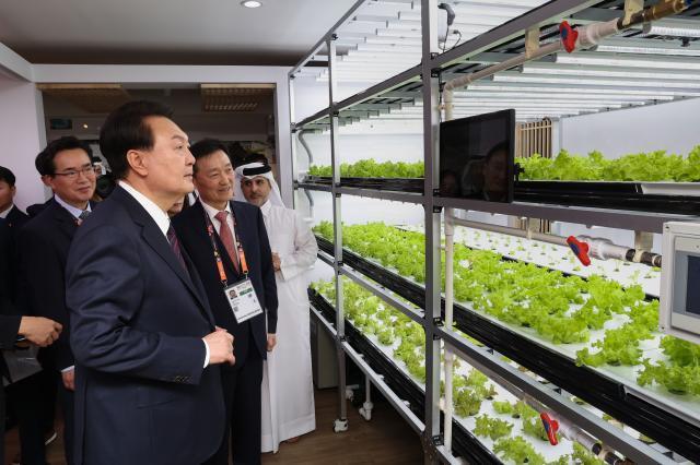 Tổng thống Yoon Suk-yeol người đang có chuyến thăm cấp nhà nước tới Qatar đang tham quan trang trại thông minh của Nongshim tại phòng triển lãm nông nghiệp thông minh Hàn Quốc trong lễ khai mạc gian hàng Hàn Quốc tại Hội chợ triển lãm làm vườn quốc tế Doha được tổ chức tại Công viên Al Bida ở Doha vào ngày 24 theo giờ địa phương ẢnhYonhap News