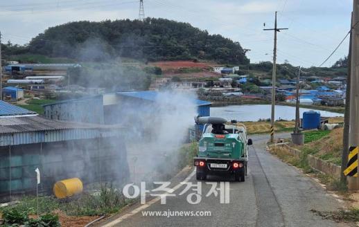 소 럼피스킨병 전북 부안까지...전남 축산농가 비상 