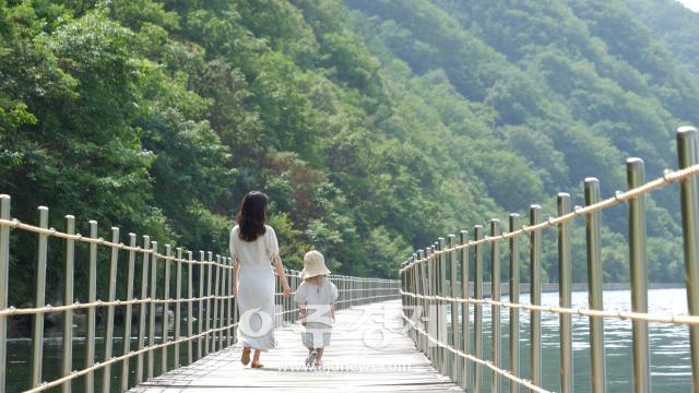 강원 화천군 산소길 사진화천군