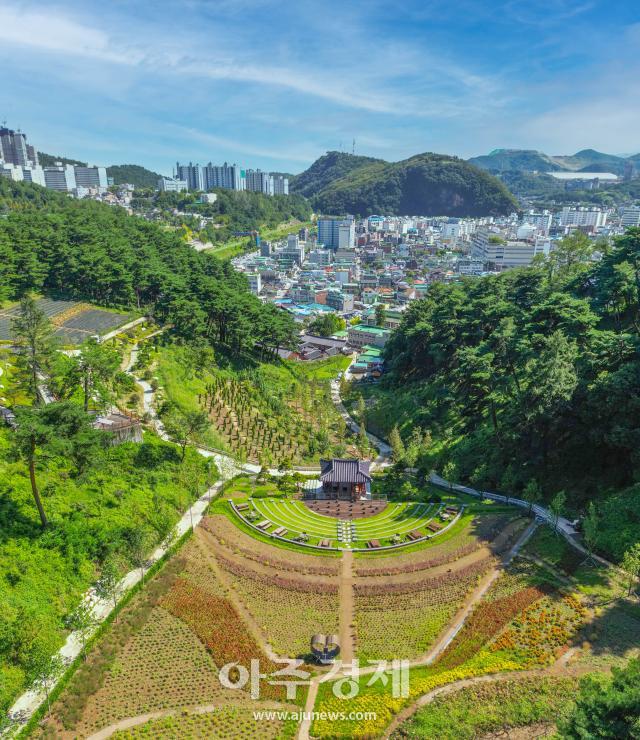 삼척향교 전통문화체험 숲 ‘인의예지림仁義禮智林’사진삼척시
