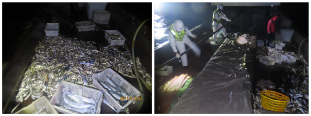 해양수산부 서해어업관리단이 26일 새벽 5시경 우리 수역에서 어획량을 축소 기재한 중국 어선을 나포해 조사하고 있다 사진해수부