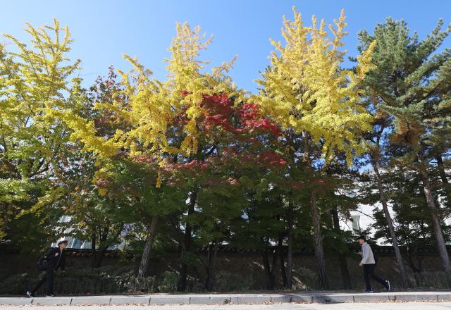 다가오는 가을 
    서울연합뉴스 김성민 기자  22일 오전 서울 종로구 성균관대학교에서 시민들이 노랗게 물든 은행나무 아래를 지나가고 있다 20231022
    ksm7976ynacokr2023-10-22 150024
저작권자 ⓒ 1980-2023 ㈜연합뉴스 무단 전재 재배포 금지저작권자 ⓒ 1980-2023 ㈜연합뉴스 무단 전재 재배포 금지