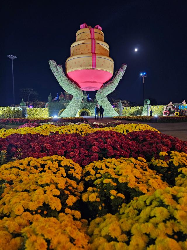 특별한_국화_매력’_느낄_수_있는_2023_대한민국_국향대전__야간에_무료로_감상하세요사진함평군