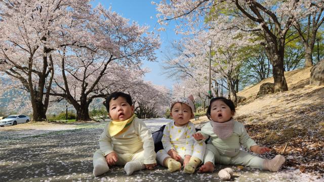 2023 칠곡군 인구정책 사진공모전 대상작사진칠곡군